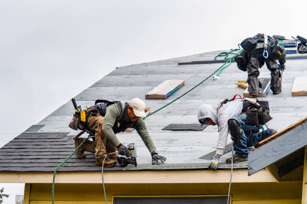 Professional Storm Damage Roof Repair technician working in Candor, NY